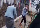 حادثة مروعة في صنعاء.. نمر يهاجم طفلاً داخل حديقة الحيوانات