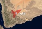 هجوم حـ.ـوثي واسع ينتهي بانتكاسة ميدانية جنوبي مأرب