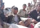 أسرى حـ.ـوثيون في قبضة القوات الحكومية عقب انهيار مواقع المليشيا بالجوف