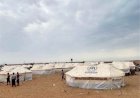 الأمم المتحدة تطلق نداءً عاجلاً لدعم اللاجئين اليمنيين في جيبوتي