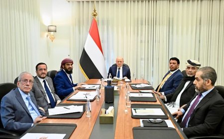 برئاسة العليمي.. مجلس القيادة والحكومة يبحثان مسار تنفيذ إجراءات الردع المتكامل