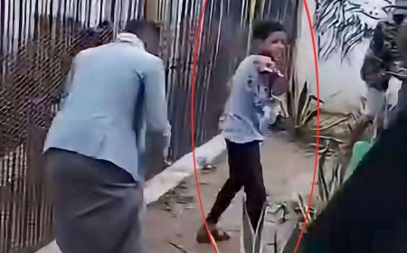 حادثة مروعة في صنعاء.. نمر يهاجم طفلاً داخل حديقة الحيوانات