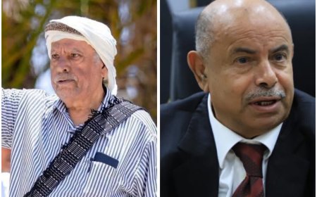 وسط مشاورات تشكيل هيئة الرئاسة.. الخنبشي يلتقي الحكم النهدي في الرياض