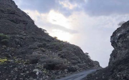 اشتباكات عنيفة في جبهة المنصورة بالمضاربة وسط قصف مدفعي وتحليق مسيّرات