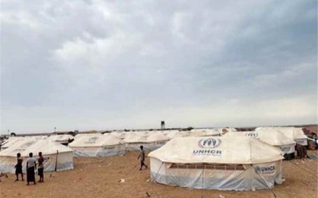 الأمم المتحدة تطلق نداءً عاجلاً لدعم اللاجئين اليمنيين في جيبوتي