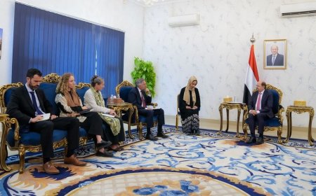 الزنداني يبحث مع سفيري أوروبا وهولندا تطورات اليمن والتصعيد الحـ.ـوثي