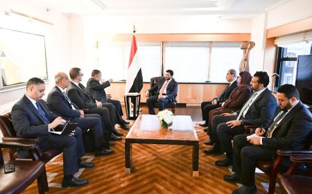 خلال لقائه بالأمين العام للجامعة العربية.. العليمي يفتح ملف الحـ.ـوثيين والتدخلات الإيرانية