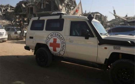 الصليب الأحمر ينفي تقارير عن انتشال أعداد محددة من جثامين قتلى في اليمن
