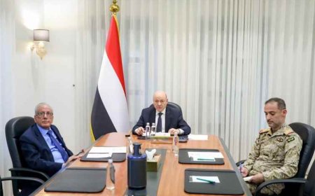 العليمي يوجّه المحافظين بتنفيذ قراري التعبئة والعودة الآمنة