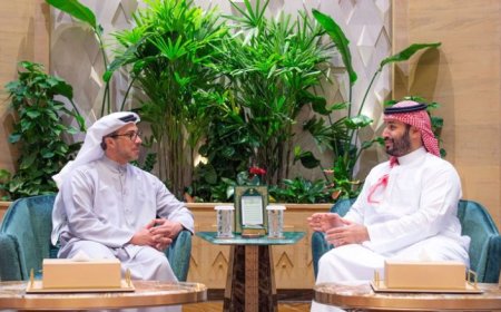 ولي العهد السعودي يلتقي منصور بن زايد في الرياض ويبحثان تطورات المنطقة