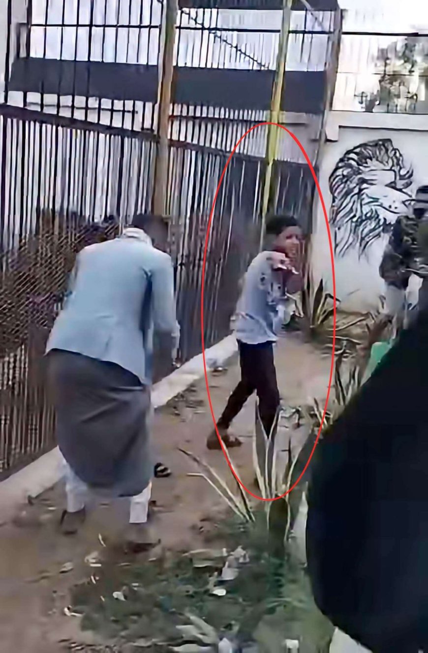حادثة مروعة في صنعاء.. نمر يهاجم طفلاً داخل حديقة الحيوانات