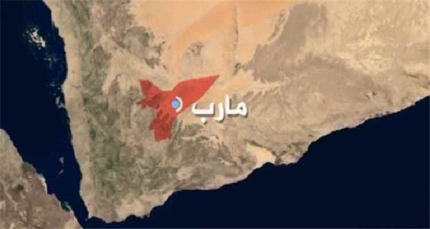 هجوم حـ.ـوثي واسع ينتهي بانتكاسة ميدانية جنوبي مأرب