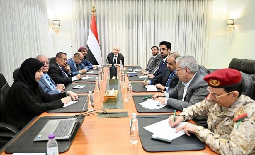 برئاسة العليمي.. مجلس الدفاع الوطني يؤكد استعادة المبادرة ويحذر من تهديد باب المندب