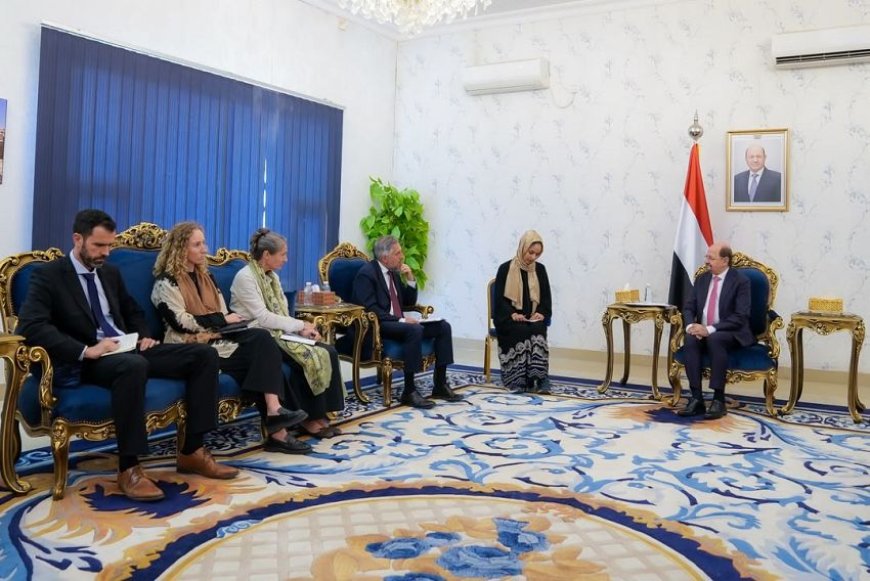الزنداني يبحث مع سفيري أوروبا وهولندا تطورات اليمن والتصعيد الحـ.ـوثي
