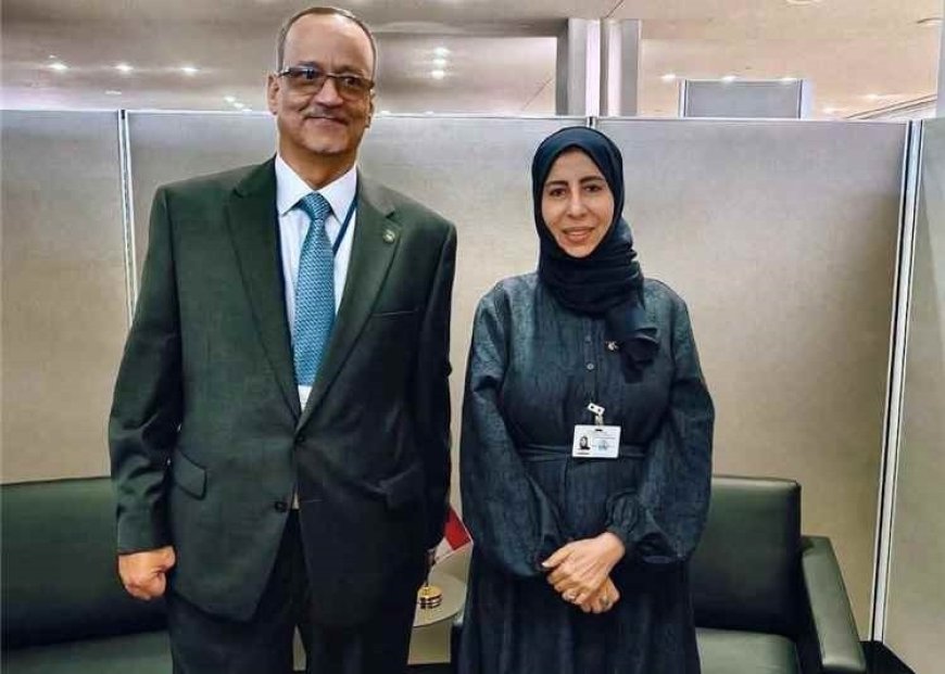من نيويورك.. وزيرة الخارجية تبحث تحركًا دوليًا تجاه الحـ.ـوثيين والدعم الإيراني