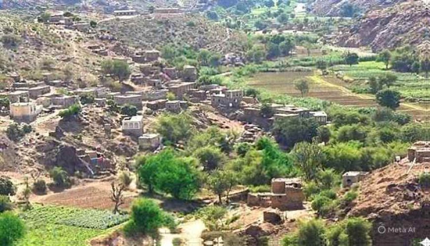 الحـ.ـوثيون يقصفون مناطق سكنية ومقابر في الأزارق بالضالع