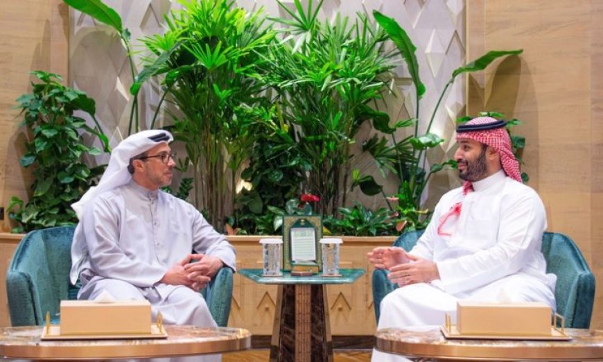 ولي العهد السعودي يلتقي منصور بن زايد في الرياض ويبحثان تطورات المنطقة