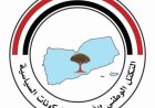 التكتل الوطني يؤيد العمليات العسكرية ويدعو لتوحيد الجبهات