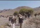 قبائل خولان الطيال تحتشد ضد الحـ.ـوثيين عقب اغتيال الشيخ غنيم ومرافقيه