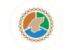 المجلس التنسيقي الحضرمي يدين استهداف مطار الريان الدولي بالمكلا