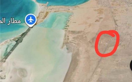 عاجل.. القوات الحكومية تعلن تحرير مدينة المخا غربي تعز