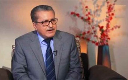 مستشار حكومي : معركة الجيش لن تقتصر على استعادة الساحل وباب المندب