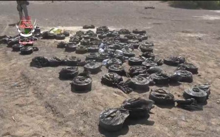 العمالقة الجنوبية تنزع مئات الألغام الحوثية في ذوباب