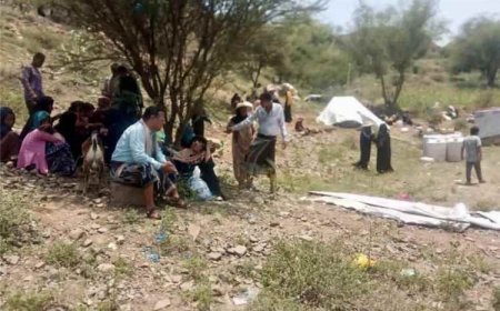 منظمة حقوقية تحذّر من جرائم حرب في تعز