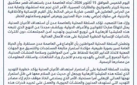 سلطة عدن تدين هجوم معاشيق وتؤكد استقرار الأوضاع