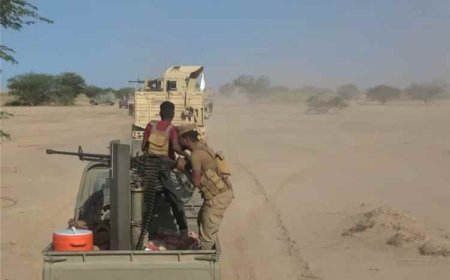 تقدم ميداني لقوات العمالقة ودرع الوطن في باب المندب بإسناد جوي مكثف للتحالف