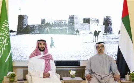 خالد بن سلمان ومنصور بن زايد يبحثان تطورات المنطقة