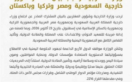 اليمن يثمن تضامن السعودية ومصر وتركيا وباكستان في مواجهة الحـ.ـوثيين