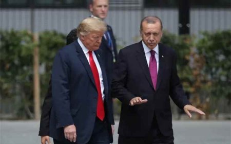 أردوغان يكشف لترامب تحركات تركيا بشأن اليمن ومضيق هرمز