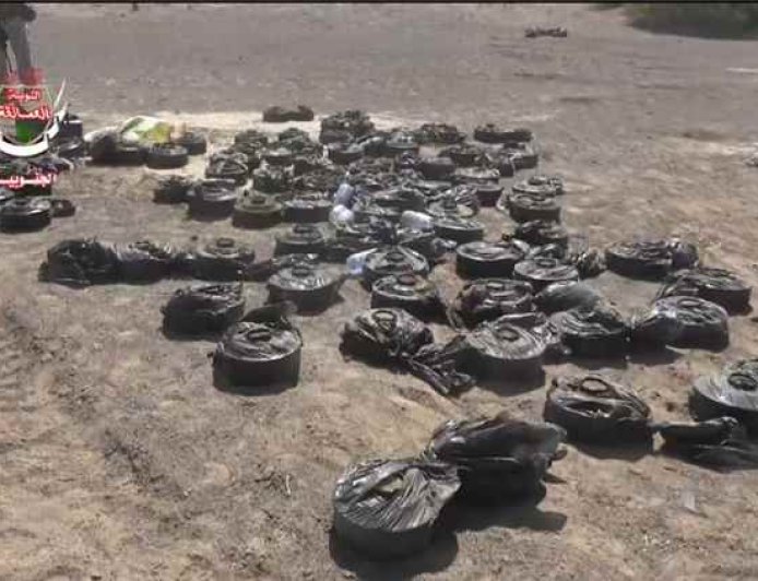 العمالقة الجنوبية تنزع مئات الألغام الحوثية في ذوباب