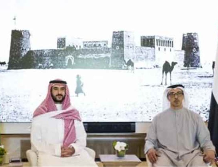 خالد بن سلمان ومنصور بن زايد يبحثان تطورات المنطقة