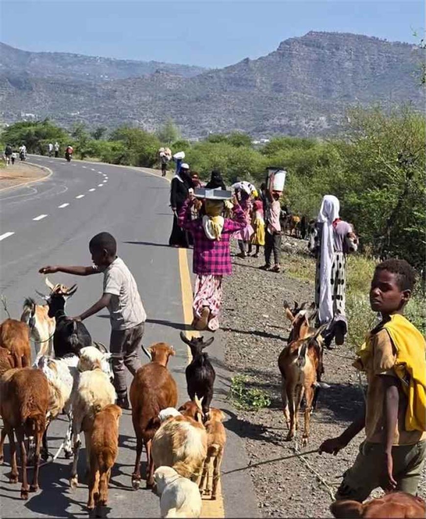 نزوح واسع في ريف تعز مع تقدم الحـ.ـوثيين نحو قرى مكتظة