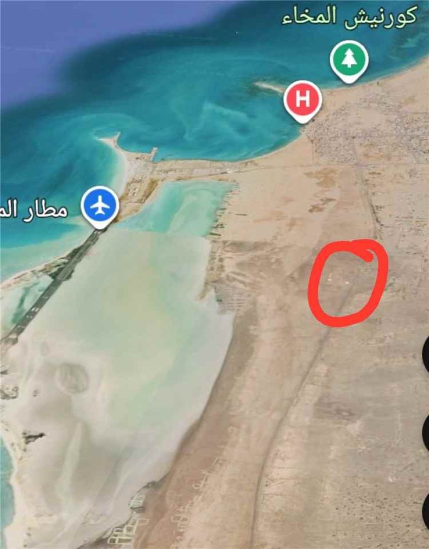 عاجل.. القوات الحكومية تعلن تحرير مدينة المخا غربي تعز