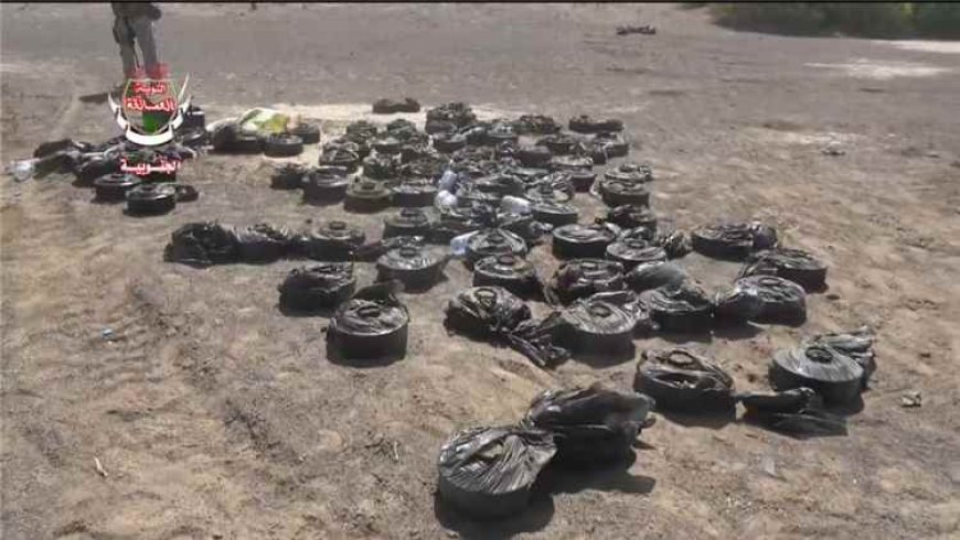 العمالقة الجنوبية تنزع مئات الألغام الحوثية في ذوباب